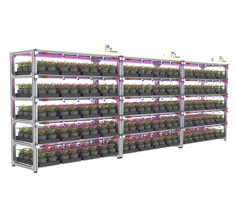https://www.mail.arianetech-sg.com/City-farm-Indoor-farm-urban-farm-Vertical-farm-Plant-factory-SMART-AGRO-High-Tech-Grower-Unit